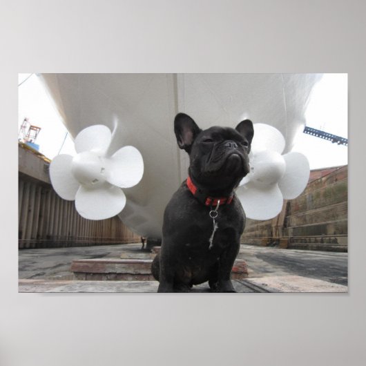 ブラックブルフランスのドッグ ポスター (正面)