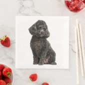 ブラックプードルの子犬のウェディングパーティの誕生日 (インサイチュ)