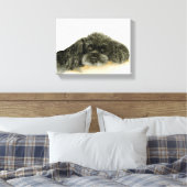 ブラックプードルキャンバス枠プリント キャンバスプリント (インサイチュ (寝室))