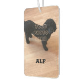 ブラックプードル カーエアーフレッシュナー (左)