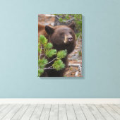 ブラックベアとブロンドカラー キャンバスプリント (インサイチュ (ウッドフロア))