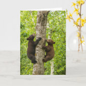 ブラックベアカブス登山ツリー カード (黄色い花)