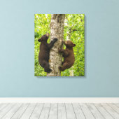 ブラックベアカブス登山ツリー キャンバスプリント (インサイチュ (ウッドフロア))