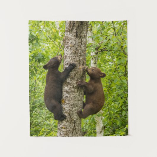 ブラックベアカブス登山ツリー タペストリー (正面)