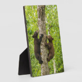 ブラックベアカブス登山ツリー フォトプラーク (側面)