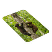 ブラックベアカブス登山ツリー マグネット (右側)