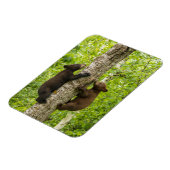 ブラックベアカブス登山ツリー マグネット (左側)