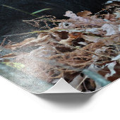 ブラックベアカブフォトプリント フォトプリント            (角)