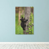 ブラックベアカブ登山ツリー キャンバスプリント (インサイチュ (ウッドフロア))