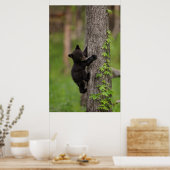 ブラックベアカブ登山ツリー ポスター (キッチン)