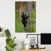 ブラックベアカブ登山ツリー ポスター (ホームオフィス)