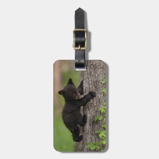 ブラックベアカブ登山ツリー ラゲッジタグ (正面縦)