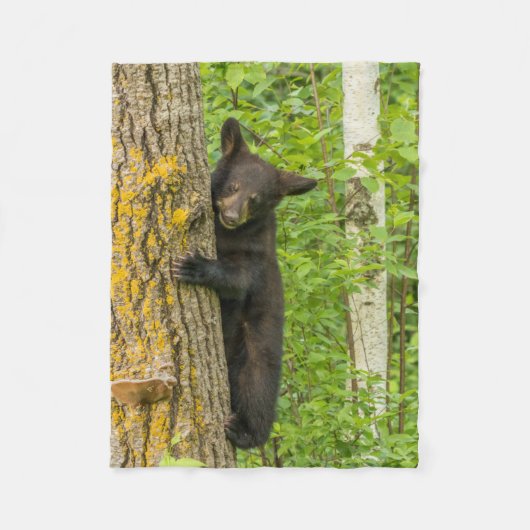 ブラックベアカブ |ミネソタ フリースブランケット (正面)