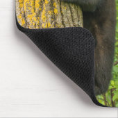 ブラックベアカブ |ミネソタ マウスパッド (コーナー)