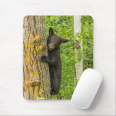 ブラックベアカブ |ミネソタ マウスパッド (マウス)