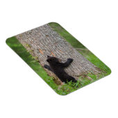 ブラックベアカブ |素晴らしスモーク山脈 マグネット (右側)