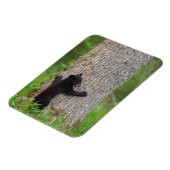 ブラックベアカブ |素晴らしスモーク山脈 マグネット (左側)