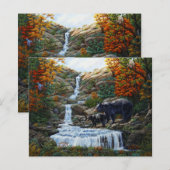 ブラックベアマザー&クブウォーターフォール (正面/裏面)