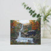 ブラックベアマザー&クブウォーターフォール (スタンド正面)