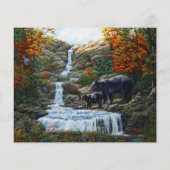 ブラックベアマザー&クブウォーターフォール (裏面)