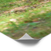 ブラックベアーキャンプ場 ポスター (角)