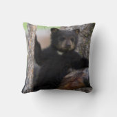 ブラックベアーズキューブラウンジ クッション (裏面)