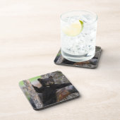 ブラックベアーズキューブラウンジ コースター (右側)