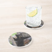 ブラックベアーズキューブラウンジ コースター (側面)