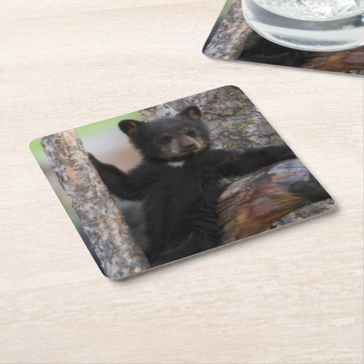 ブラックベアーズキューブラウンジ スクエアペーパーコースター (アングル)