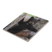 ブラックベアーズキューブラウンジ タイル (側面)