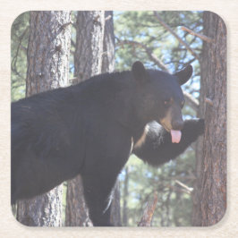 ブラックベアードリンクコースター スクエアペーパーコースター