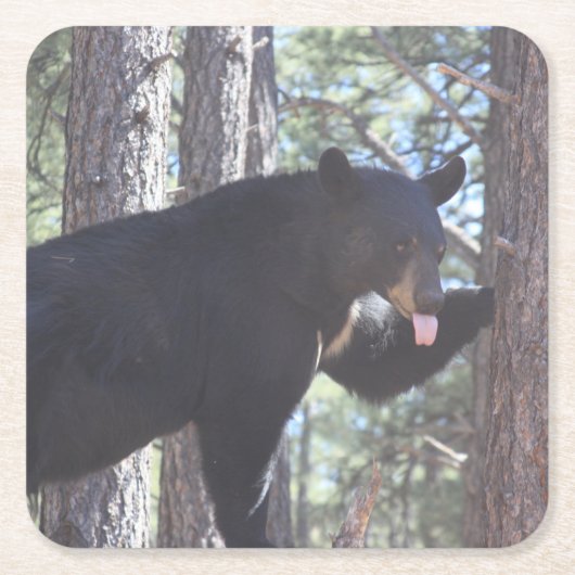 ブラックベアードリンクコースター スクエアペーパーコースター (正面)