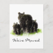 ブラックベアーファミリー動物自然アドレス新しいホーム 案内ポストカード (正面)