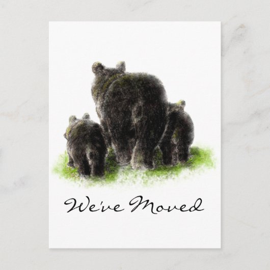 ブラックベアーファミリー動物自然アドレス新しいホーム 案内ポストカード (正面)