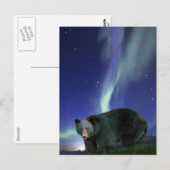 ブラックベアーワイルドライフポストカード ポストカード (正面/裏面)