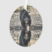 ブラックベア反射 オーナメント (正面)