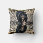 ブラックベア反射 クッション (裏面)