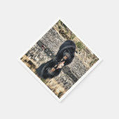 ブラックベア反射 スタンダードカクテルナプキン (角)