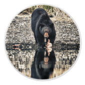 ブラックベア反射 セラミックノブ (正面)