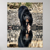 ブラックベア反射 ポスター (正面)