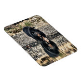 ブラックベア反射 マグネット (右側)