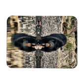 ブラックベア反射 マグネット (横)