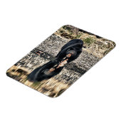 ブラックベア反射 マグネット (左側)