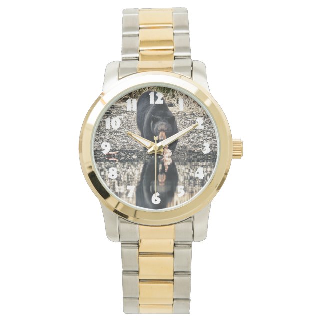 ブラックベア反射 腕時計 (正面)