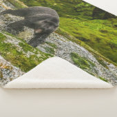 ブラックベア魚釣り |クアクリークブリティッシュコロンビア シェルパブランケット (3/4)