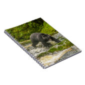 ブラックベア魚釣り |クアクリークブリティッシュコロンビア ノートブック (右側)