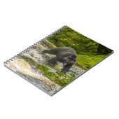 ブラックベア魚釣り |クアクリークブリティッシュコロンビア ノートブック (左側)