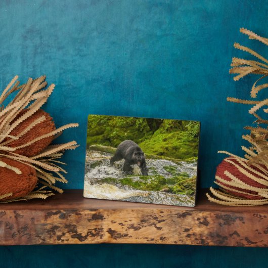 ブラックベア魚釣り |クアクリークブリティッシュコロンビア フォトプラーク (側面)