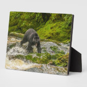 ブラックベア魚釣り |クアクリークブリティッシュコロンビア フォトプラーク (側面)