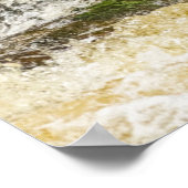 ブラックベア魚釣り |クアクリークブリティッシュコロンビア ポスター (角)